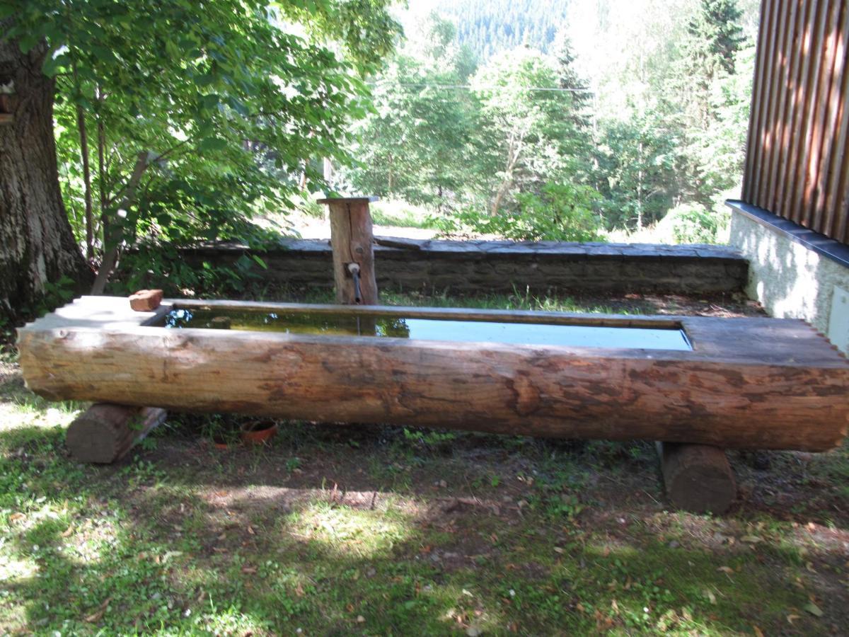 Forsthaus Glashuette Schaueregg Extérieur photo