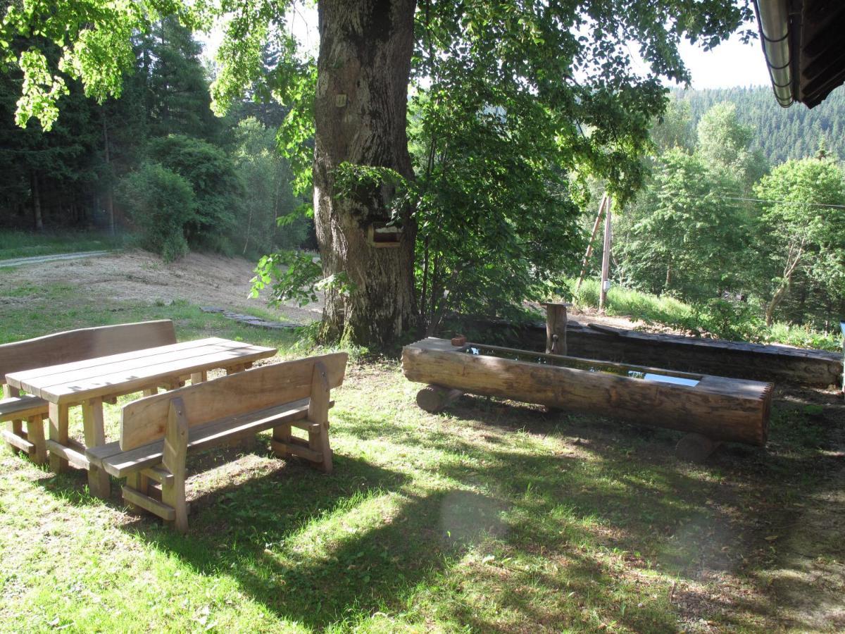 Forsthaus Glashuette Schaueregg Extérieur photo